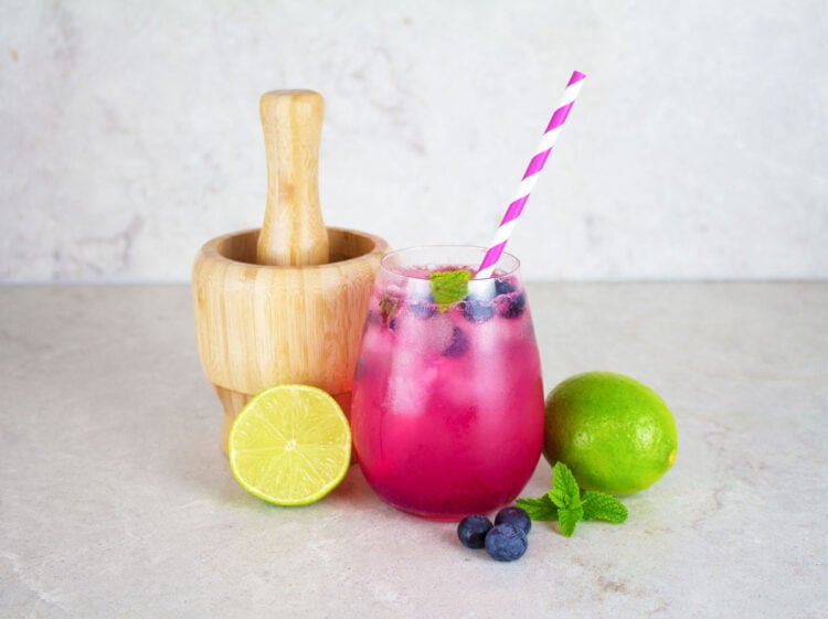 blueberry-mocktail-with-lime-and-mint-the-mindful-mocktail