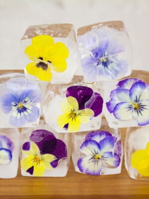 ice cube flowers for drinks