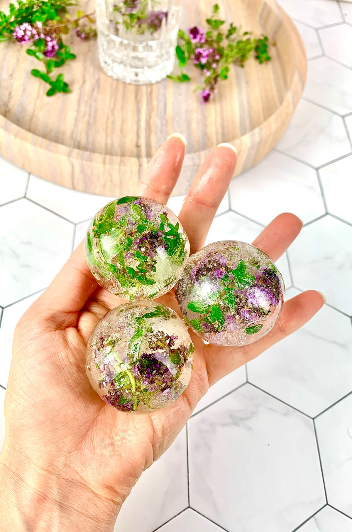 hand holding three round frozen ice spheres with thyme and thyme flowers frozen inside.