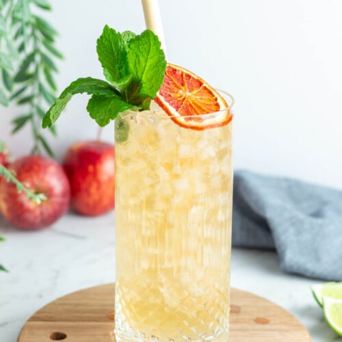 a close up of a light orange drink in a tall glass garnished with mint and a dried blood orange wheel