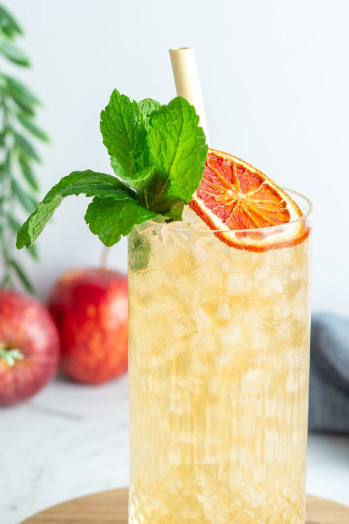 a close up of a light orange drink in a tall glass garnished with mint and a dried blood orange wheel