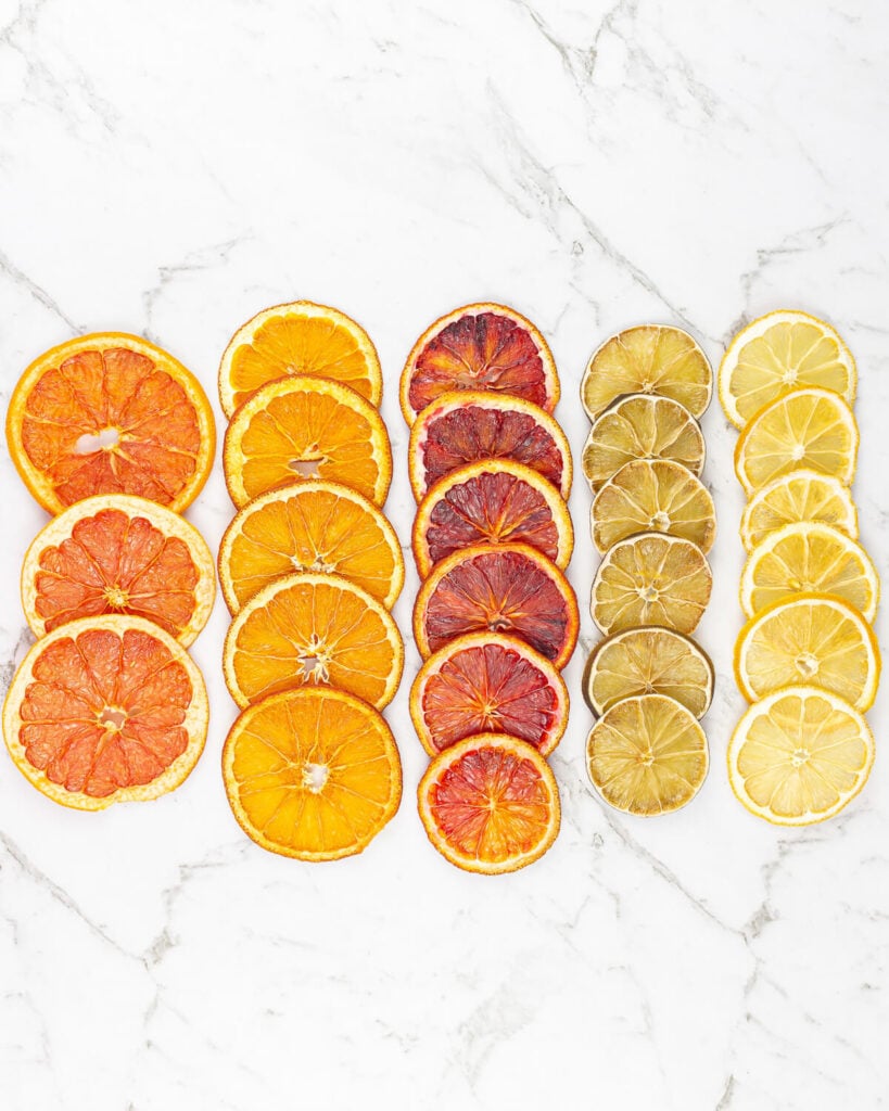 rodajas secas de naranja, naranja sanguina, lima, pomelo y limón alineadas sobre un fondo gris