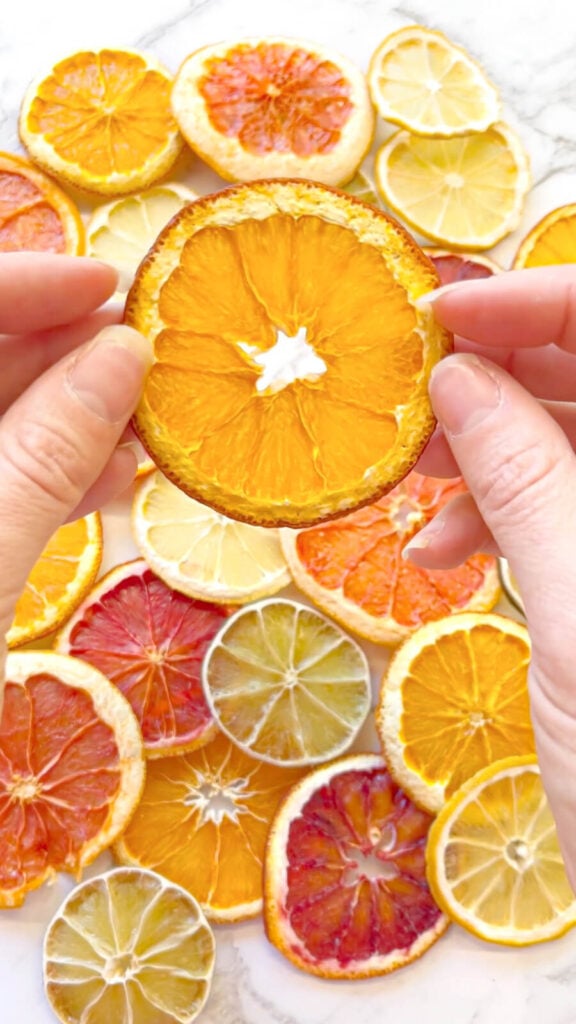 руки держат обезвоженный ломтик апельсина с сушеным лаймом, лимоном, грейпфрутом и красным апельсином на заднем плане