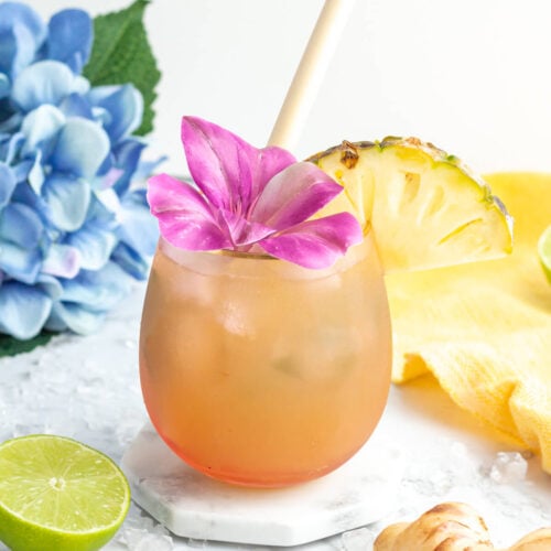 25 BEST Mocktails By A Booze Hound Turned Mocktail Mixologist