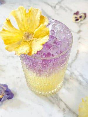 purple and yellow drink in a tall glass with a dehydrated flower on top