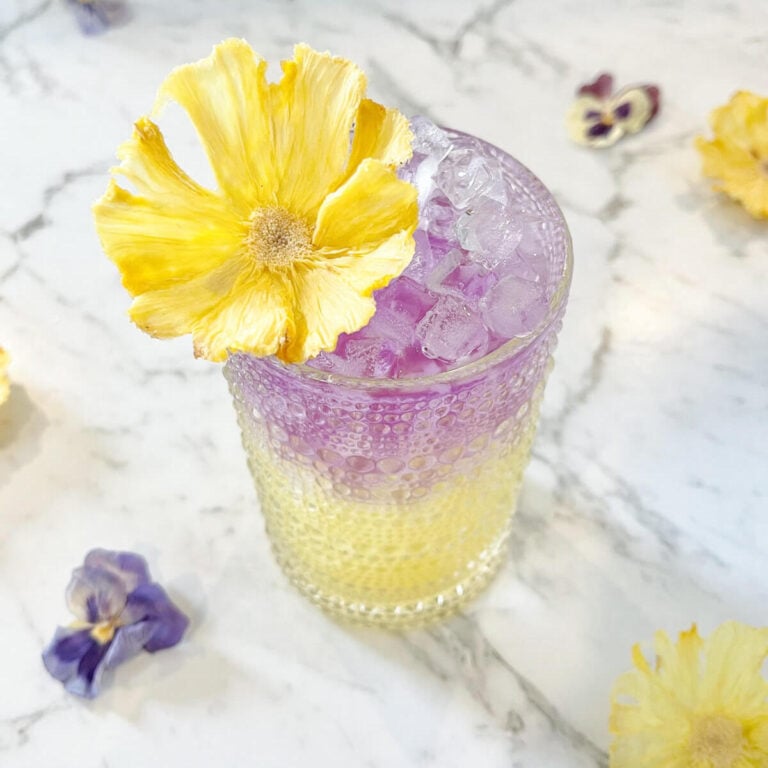 purple and yellow drink in a tall glass with a dehydrated flower on top