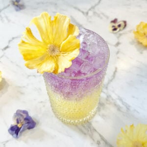 bebida en capas con amarillo en la parte inferior y púrpura en la parte superior con una flor de piña seca en la parte superior.