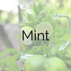 Mint Mocktails
