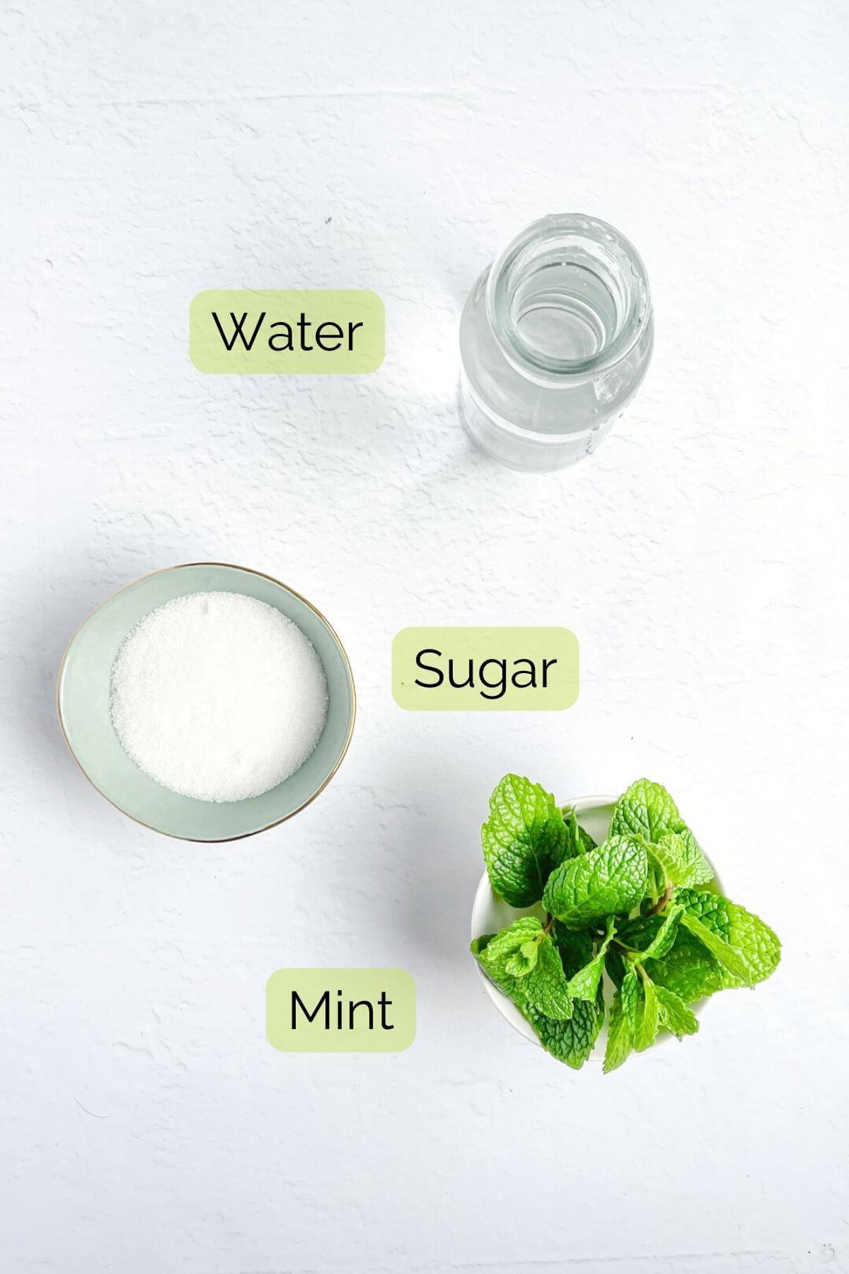 Vista panorámica de los ingredientes del jarabe de menta, que incluyen menta fresca, agua y azúcar.