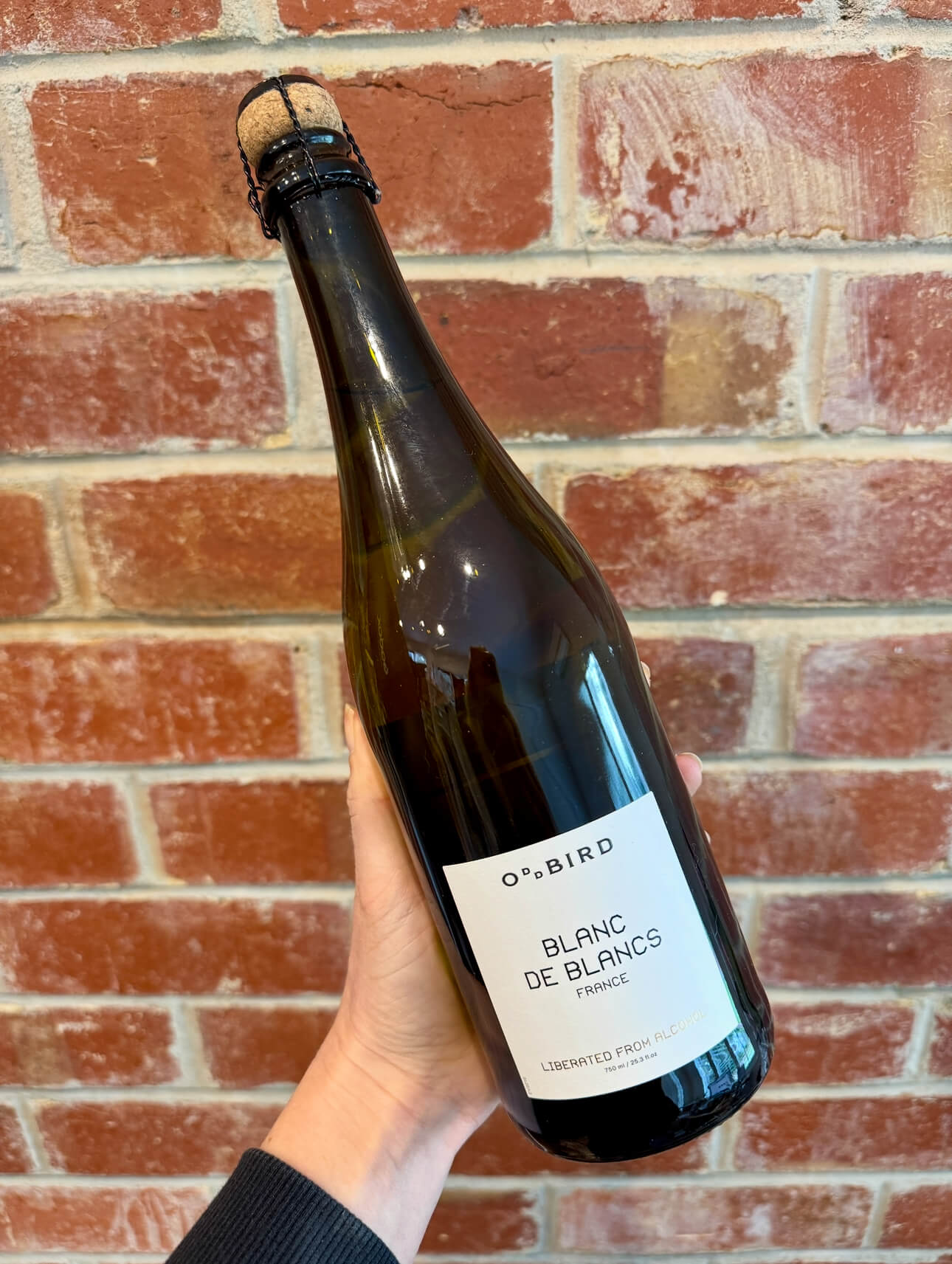 A hand holding a dark green bottle of OยฐO BIRD Blanc de Blancs sparkling wine with a white label, in front of a red brick wall.