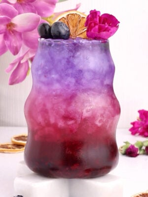 A colorful drink with layers of deep red and purple, topped with crushed ice, blueberries, a dried citrus slice, and a pink flower, served in a wavy glass. Pink flowers and dried citrus slices are in the background.
