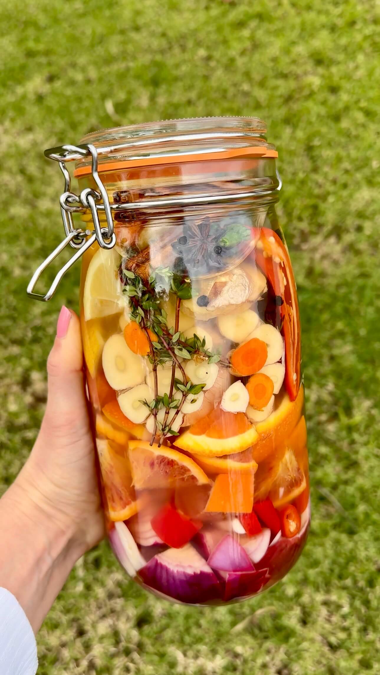 A hand holds a jar of fire cider filled with sliced vegetables, citrus, herbs, and spices, all immersed in liquid. The background is grassy and green.