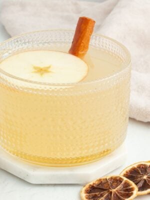 A glass mug of apple cider garnished with an apple slice and cinnamon stick, accompanied by a fresh apple and cinnamon sticks on the table.